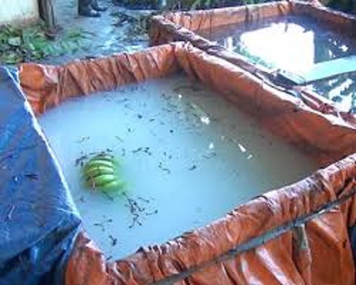 Những loại thực phẩm khiến những bà nội trợ run tay khi mua !